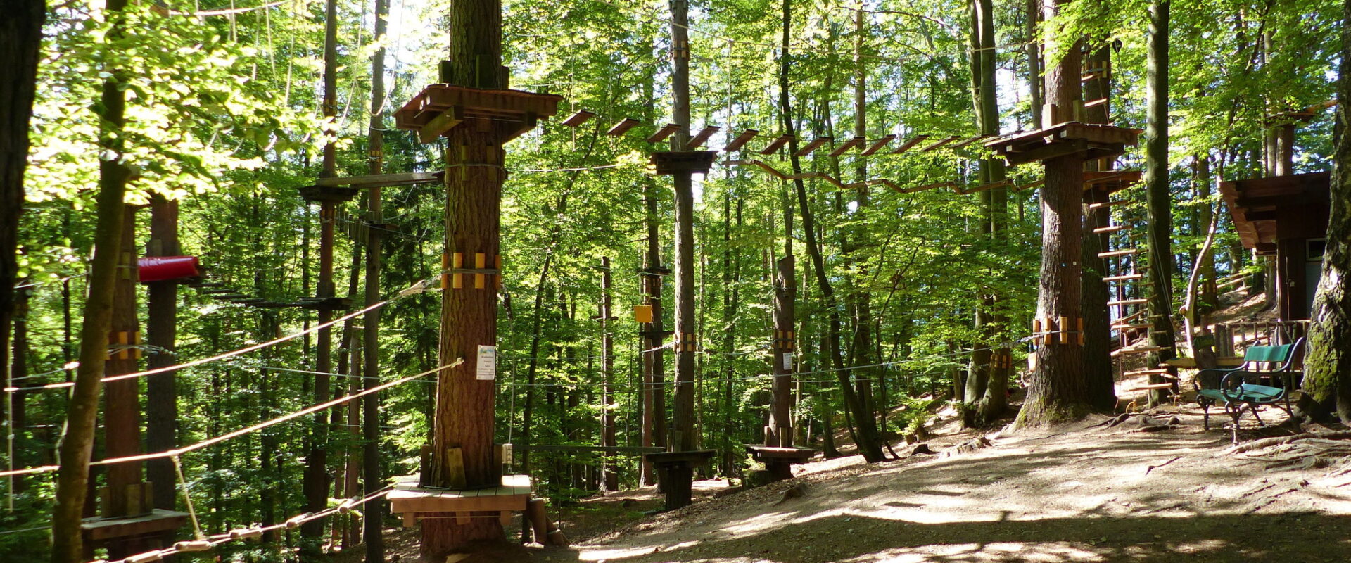 Hochhinauf – Waldseilpark – Taborhöhe