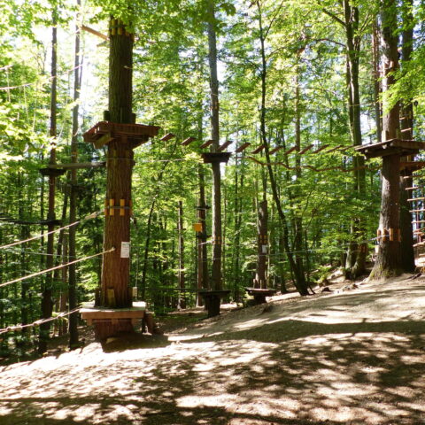 Waldseilpark